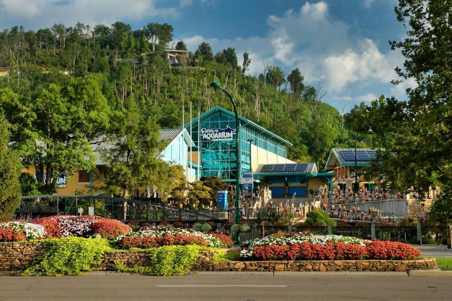 5Br Smoky Cabin Hot Tub, Games, 1 Mi To Parkway Pigeon Forge Luaran gambar